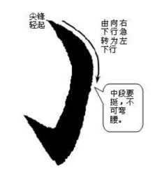 ,乳