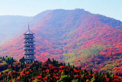 华西村人均收入_日本人均国土(3)