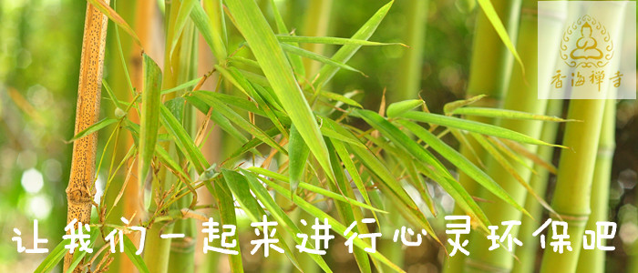 做一棵只管成长的树 - 贤宗 - 贤宗法师 做一棵只管成长的树 - 贤宗 - 贤宗法师