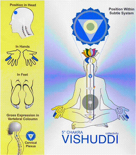 瑜伽生命能量系统<五>喉轮
