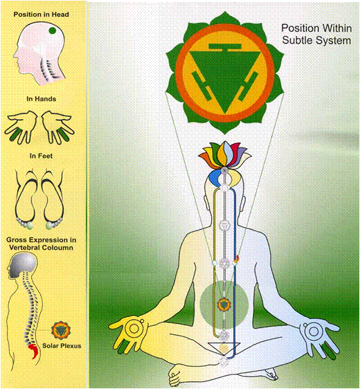 瑜伽生命能量系统<三>腹轮