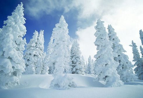 冬季做好4类疾病预防，健康整个冬季!
