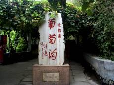 遥远的美丽,8月的新疆