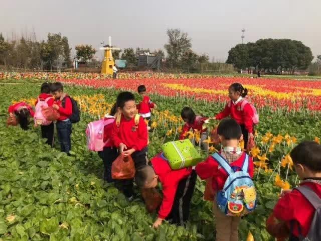 秋游专辑 | 时光，正好！-幼师课件网第11张图片