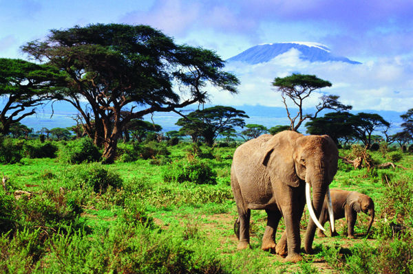 此生一定要登一座高山——乞力马扎罗