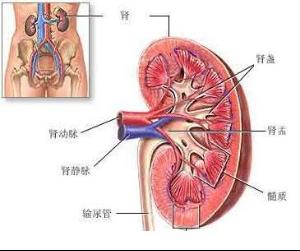 《保命的文章，再忙也要看！》（黎侨 提供） 0