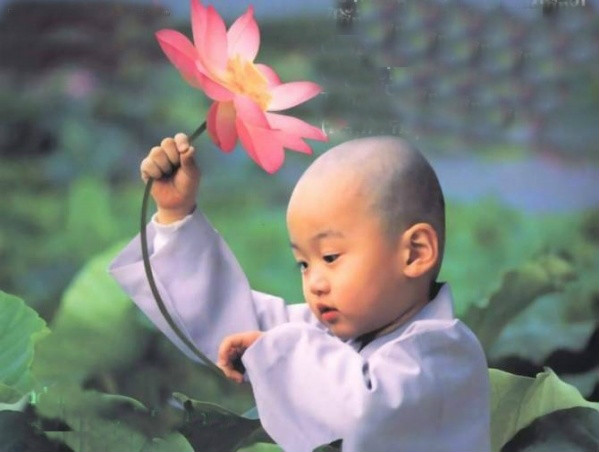 静心听佛语 佛度有缘人——好文! - 一颗鹅卵石 - 欢迎光临一颗鹅卵石的网易博客 静心听佛语 佛度有缘人——好文! - 一颗鹅卵石 - 欢迎光临一颗鹅卵石的网易博客