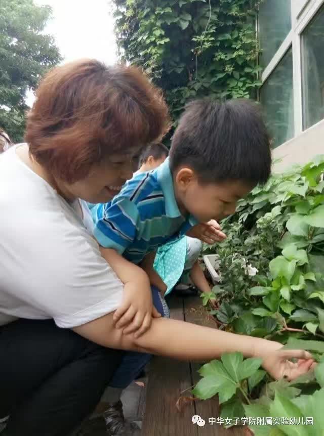 2016年，花草园保健工作盘点-幼师课件网第44张图片