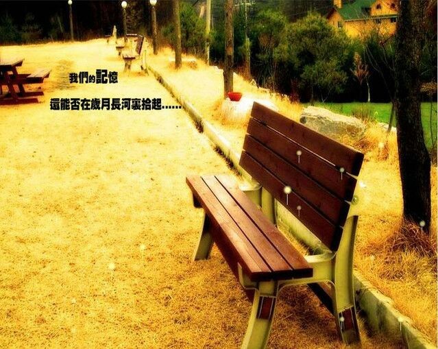 爱与美，美到极致的文字