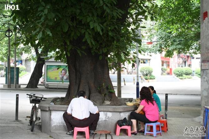 《广州火爆隐蔽小食店》（Ferender Yeung提供） 0