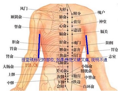 最全女人保养秘笈 