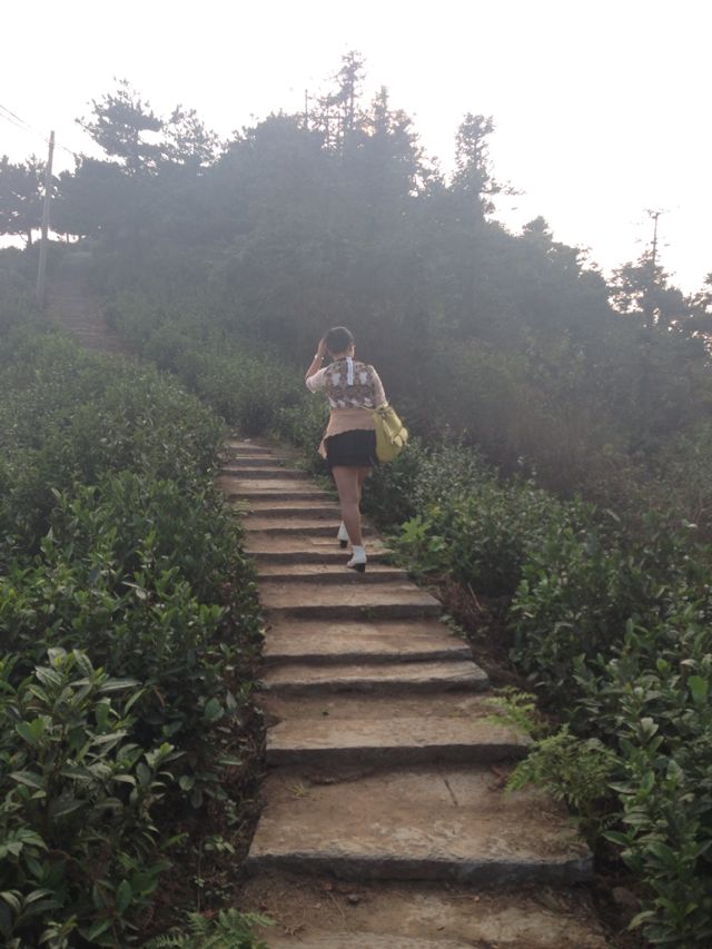 【瑞昌美景】天然氧吧瑞昌青山森林公园