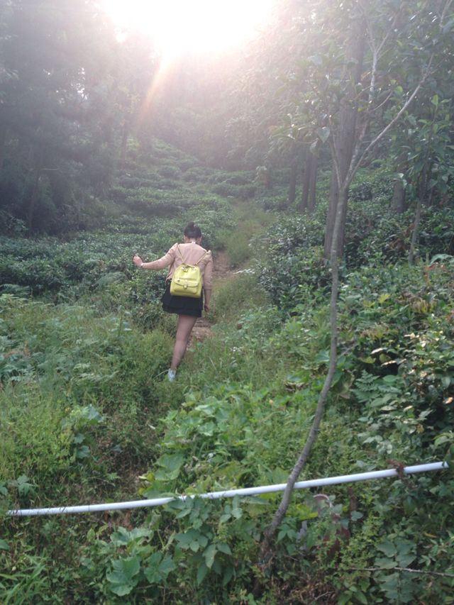 【瑞昌美景】天然氧吧瑞昌青山森林公园