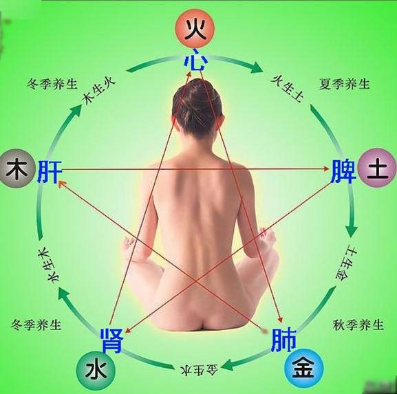 五行与养生