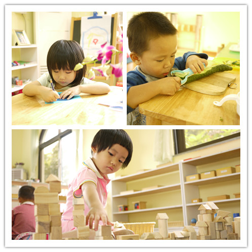 不一样的幼儿园：爱尚巴学园