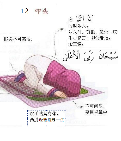 完整的礼拜学习(带图解和经文及完整的音频) - 鹤宇非 - 鹤宇非的博客 完整的礼拜学习(带图解和经文及完整的音频) - pifuyangban09 - 鹤宇非的博客