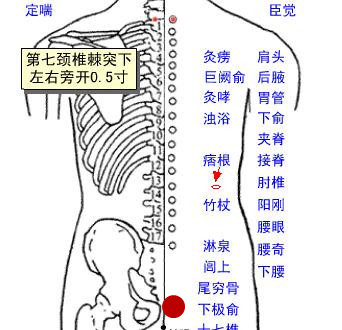 有了它你就不用买药了
