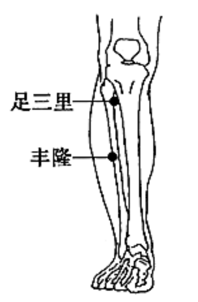 41.高脂血症特效穴——丰隆穴