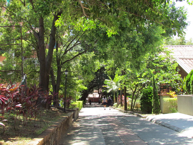 [艺人寻根]周董周杰伦，不能说的秘密「母校淡江中学」