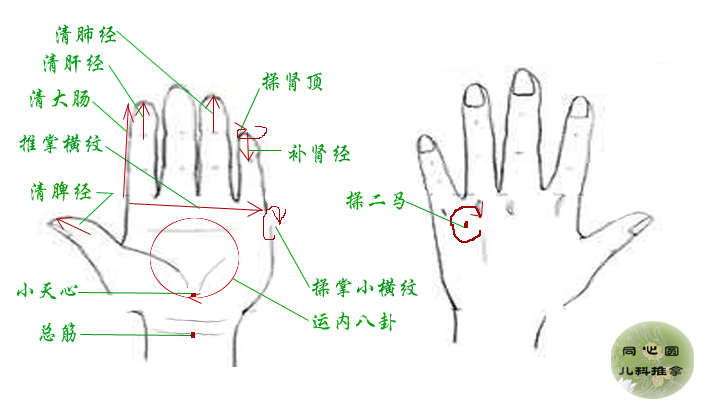 小儿推拿治咳嗽,哮喘,鼻炎