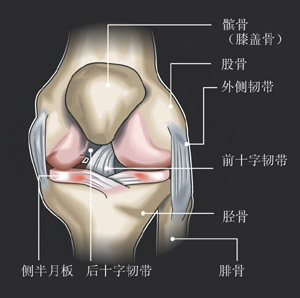 保护膝盖防治关节炎