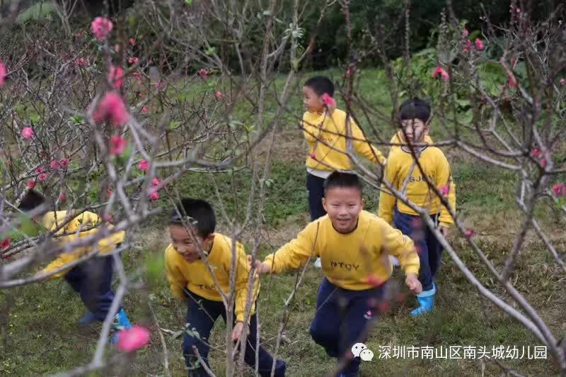 春天，植树节，走出去                                          ——3.10小黄人的远足-幼师课件网第35张图片