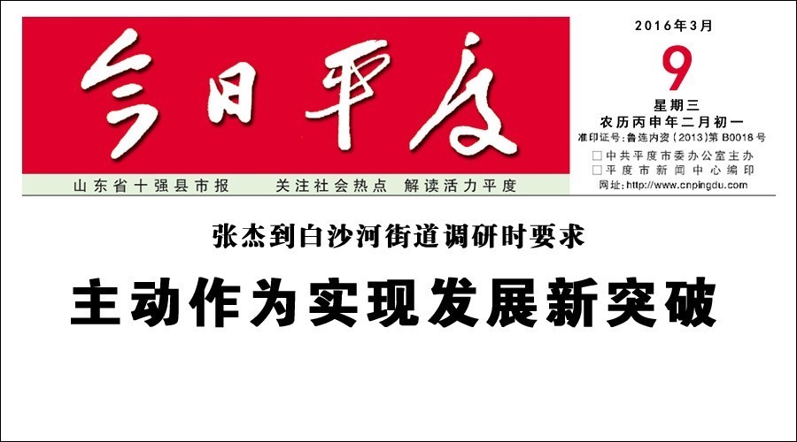 张杰到白沙河街道调研时要求丨主动作为实现发展新突破