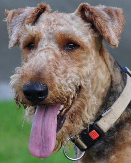 老鼠说:人自己长得丑吧,反说鼠眉贼眼,人自己眼光短浅吧,反倒说鼠目寸