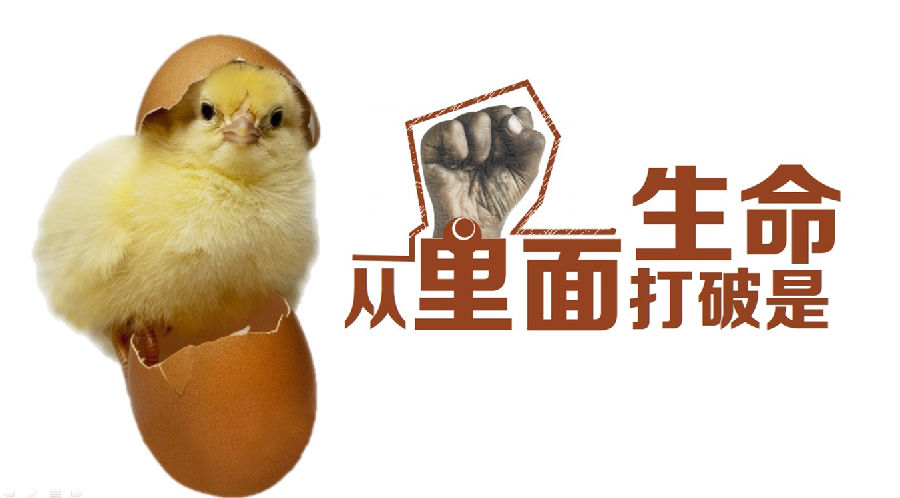 励志的鸡蛋告诉你的事(疯狂转发的图片) -盛居房地产v587 -搜房博客