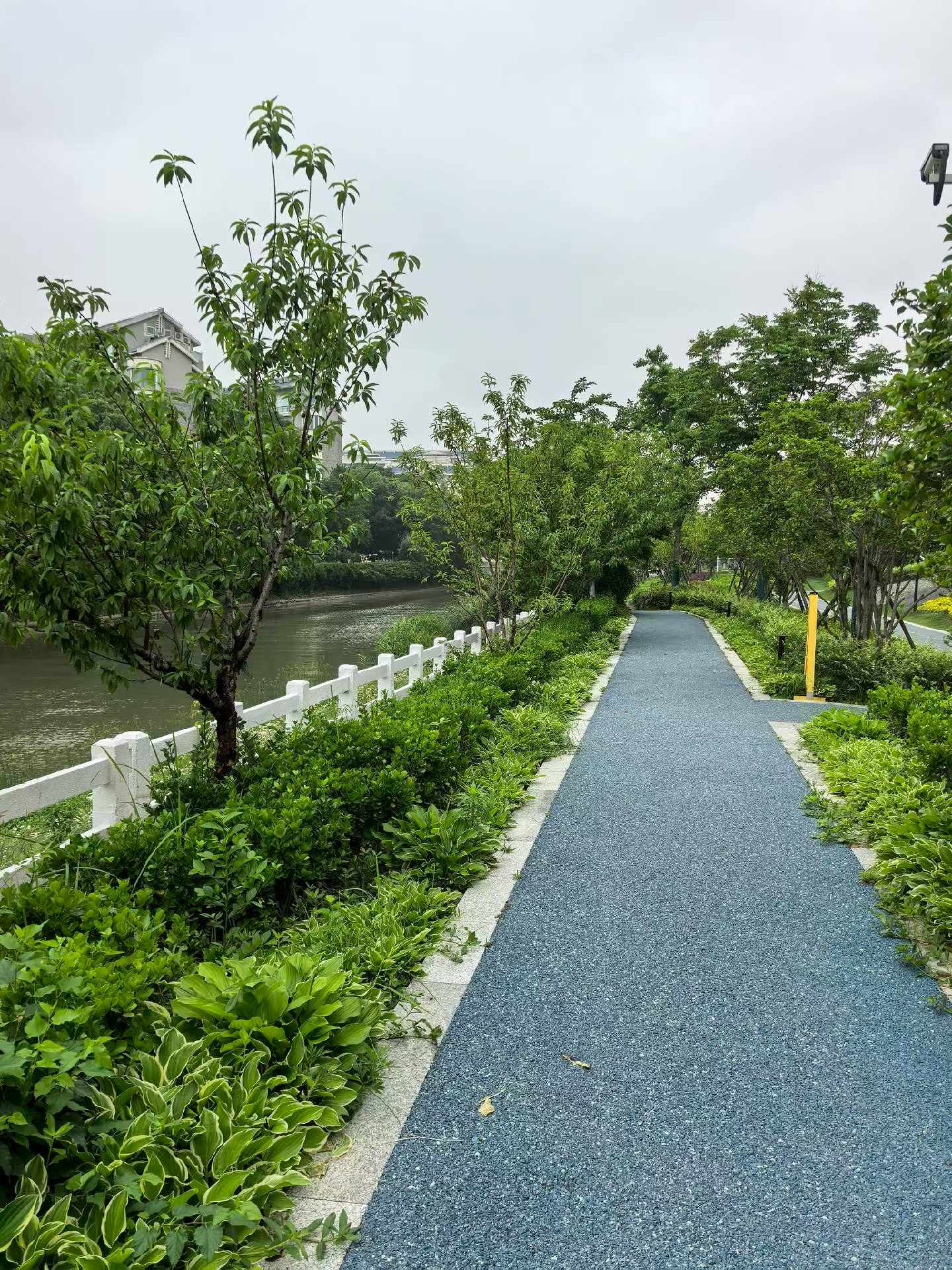 闵行区 虹兴苑小区 1BR Shanghai Rental | ExpatHome