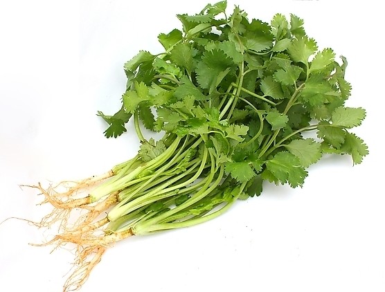 芫荽(香菜)