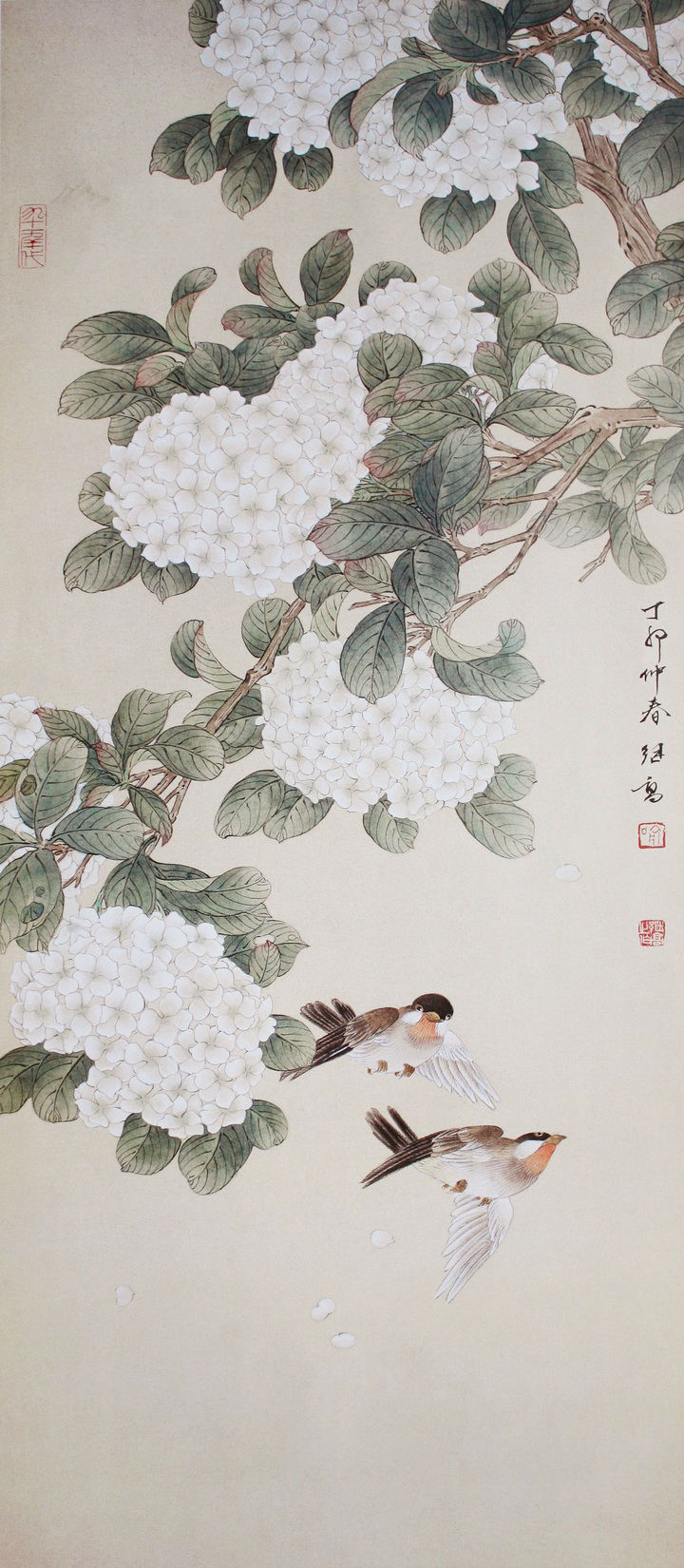 喻继高工笔花鸟画欣赏