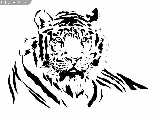 十二生肖智商高低排行榜,看您排第几?