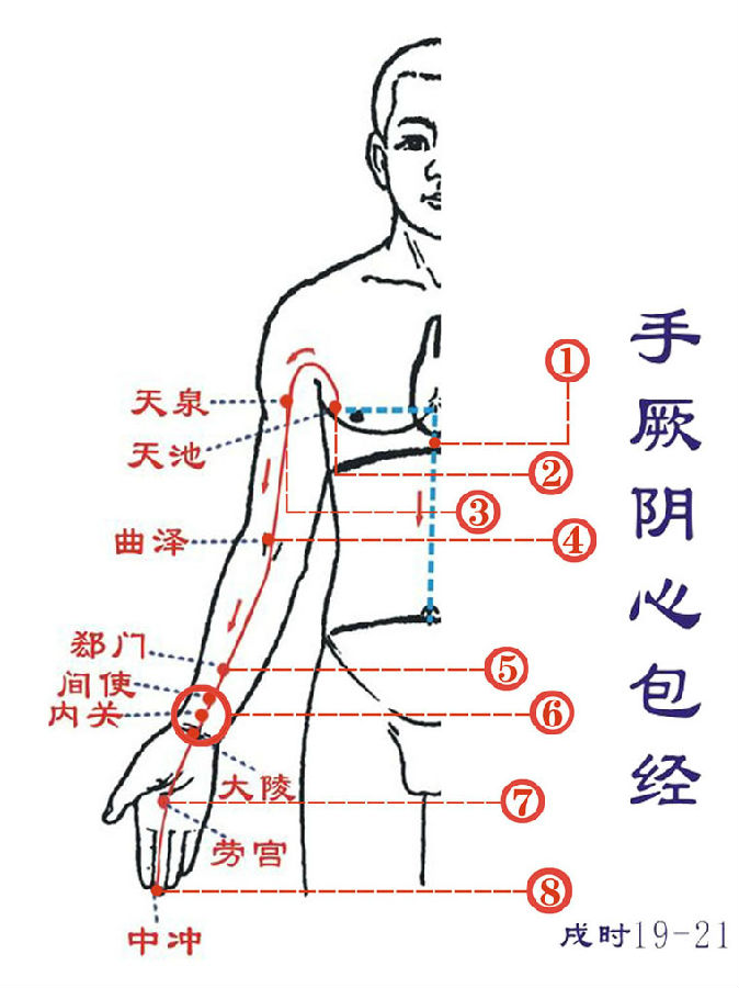 人体经络运行时间与你的健康有关