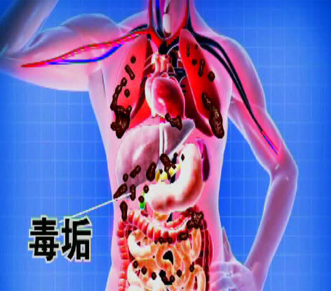 【紫玉佳妍养生】毒素使人生病,变胖,变丑