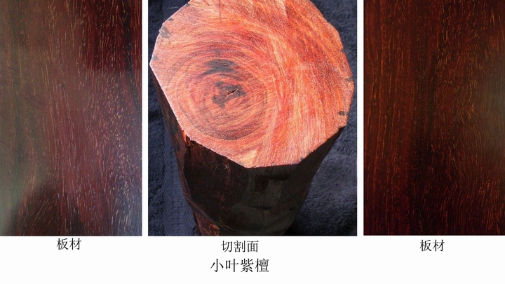 五大名贵红木海黄越黄小叶紫檀交趾黄檀大叶紫檀的鉴别之法